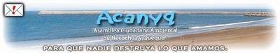acanyq.jpg