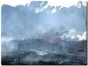 incendio_parque_06-09-20071.jpg
