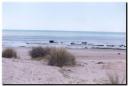 playaquequen2.jpg