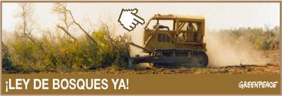bosques-ya.jpg