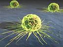 cancer156×117.jpg