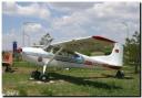 cessna-185-2.jpg