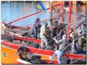 pesca.jpg