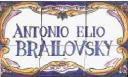 brailovsky.jpg
