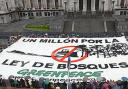 ley-de-bosques-greenpeace.jpg