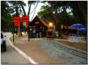 tren-del-parque-2.jpg