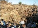 imagen-047.jpg