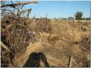 imagen-049.jpg