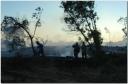incendio-parqued-01-08-carlos-guillot.jpg