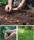 jardineria1.jpg