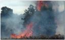 incendio-en-tandil.jpg