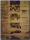 paseo-proyecto-ahorainfo-112.jpg