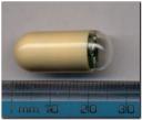250px-capsuleendoscope.jpg