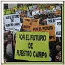 noticia-grande-informac-3552.jpg