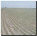 209-6770-piden-se-declare-emergencia-agropecuaria-en-santa-fe.jpg
