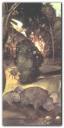 piero-di-cosimo-incendio-forestal.jpg