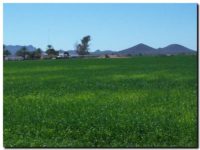 campos-agricolas
