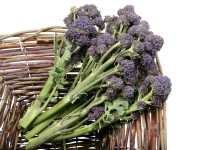 brocoli