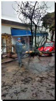 23 08 FOTO Temporal_3