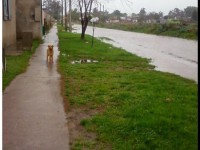 barrio 6 quequen inundado_02