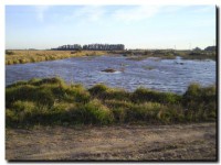 cavas en santamarina 02