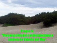 valeria del mar 1