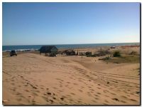 abandono en la playa necochea 2014
