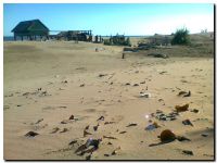 abandono en la playa necochea 2014_03