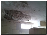Visita Escuela N12 A