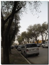cenizas em necochea 2015 SAM_0817