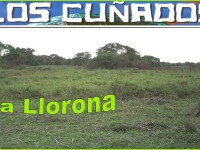 los cuñados