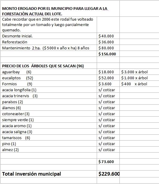 costos cancha hockey 2
