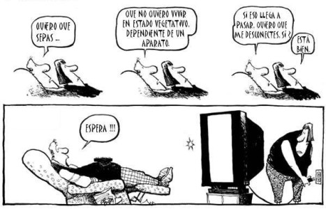humor televisivo