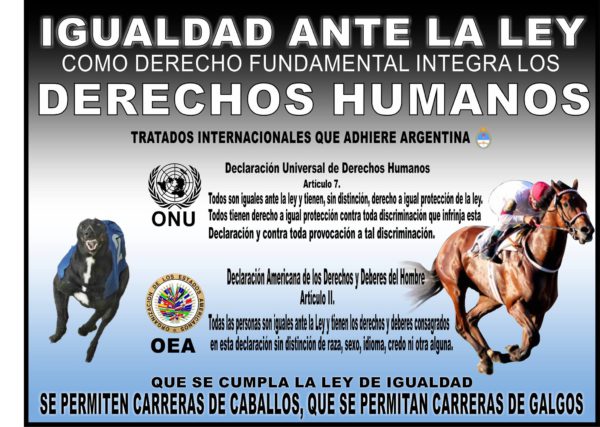 galguero soy