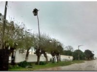 temporal-necochea-img-20160913-wa0024
