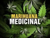 marihuana-medicinal-500x281