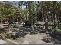 sector-kiosco-4-parque-lillo