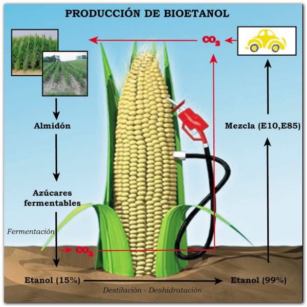 La producción de bioetanol alcanzó un nuevo récord histórico