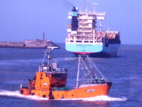 EXPORTACIONES: Importante liquidación de divisas por la venta de granos