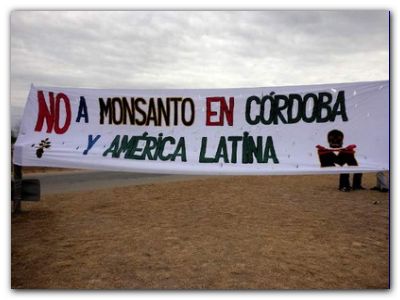 ECOLOGÍA: Tribunal prohíbe a Monsanto construir planta en Córdoba