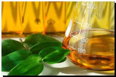 ENERGÍA: Estados Unidos autorizó la importación de biodiesel argentino para uso automotor