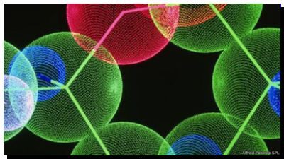 SALUD: La insulina inteligente que evitará los pinchazos a los diabéticos