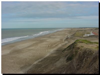 ECOLOGÍA: Alertan por una pérdida acelerada de la riqueza natural de la costa bonaerense