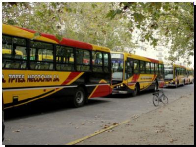 ¿Se bajará la tarifa del transporte en Necochea?