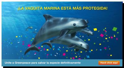 ECOLOGÍA: La vaquita marina está más protegida