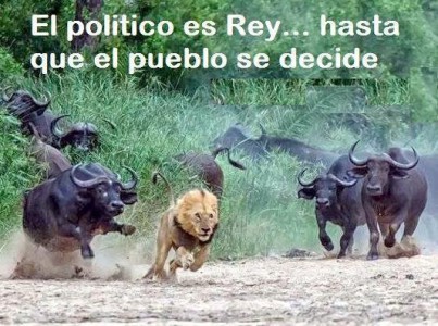Sale con fritas los sábados…
