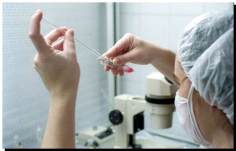 SALUD: La Provincia compró equipos para hacer fertilización de alta complejidad en hospitales