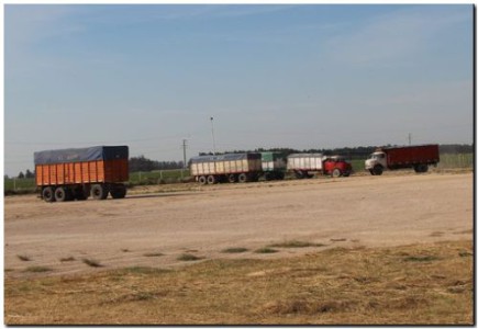 TRANSPORTE: El de cargas es el más golpeado