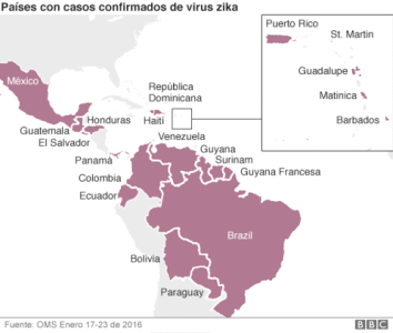 INFORME: El virus zika sería en realidad culpa de pesticidas