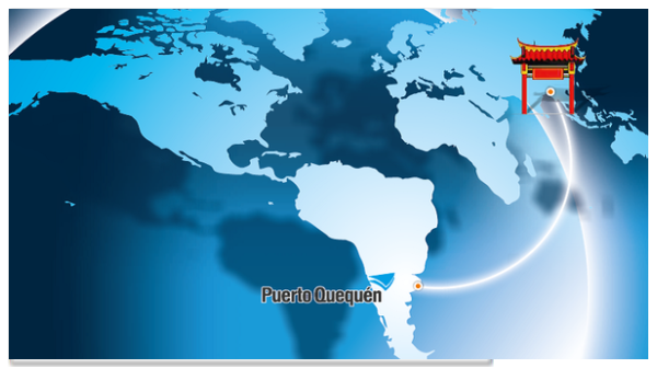 PUERTO QUEQUÉN: China es el principal destino. Más de 500 mil toneladas en un mes